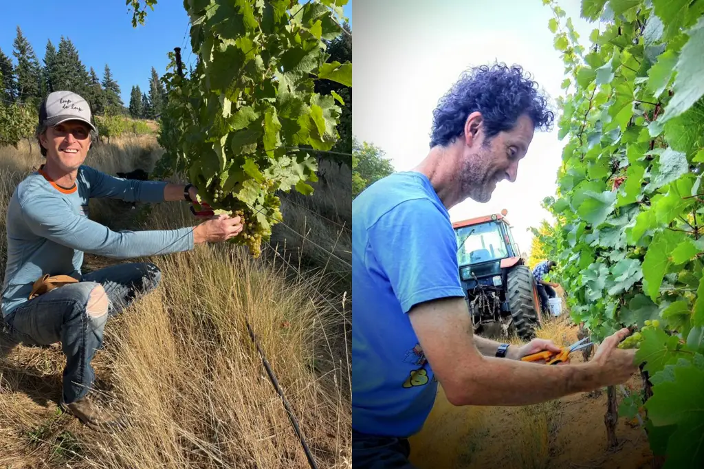 Loop de Loop wines - 3