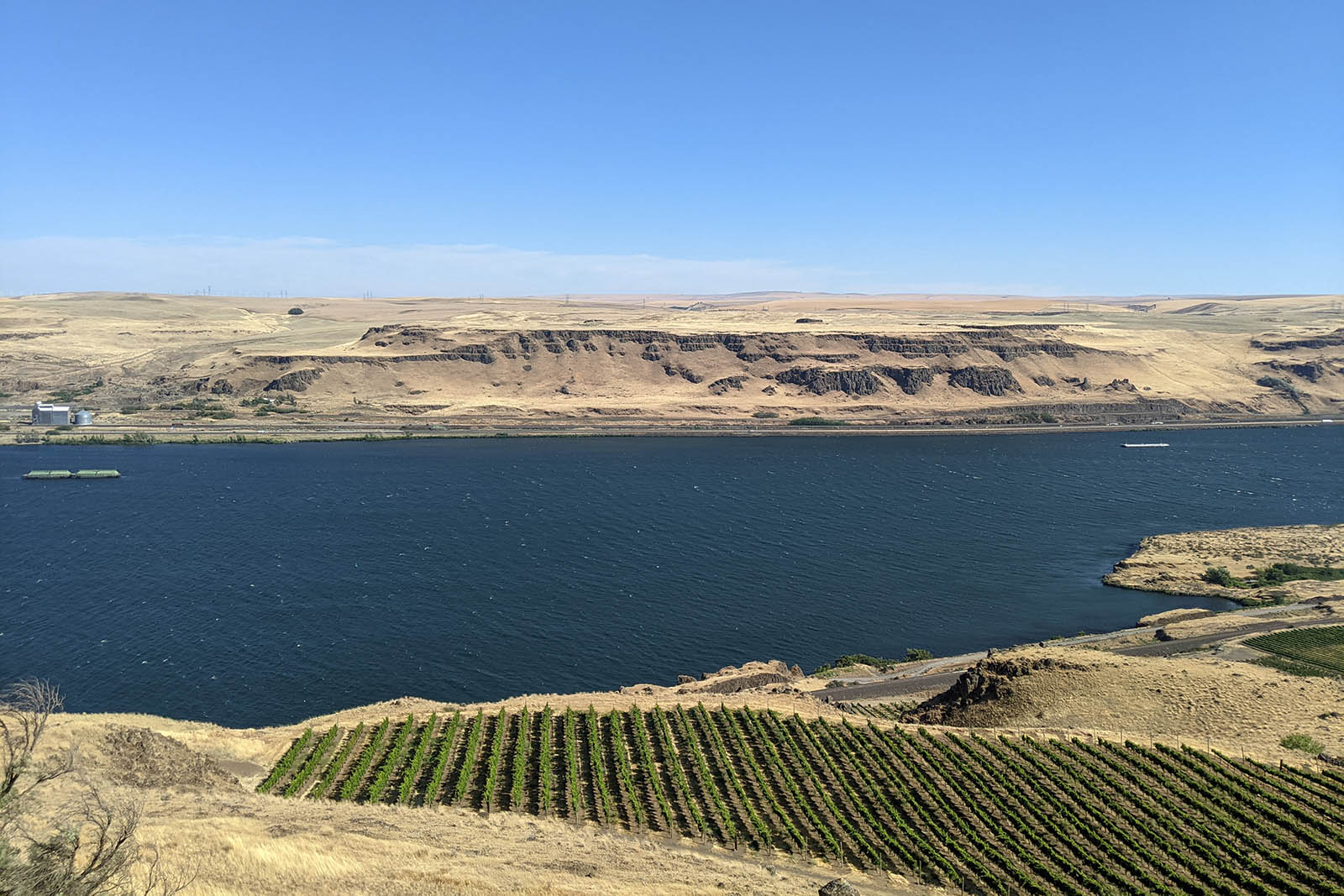 PXL_20210705_001601113